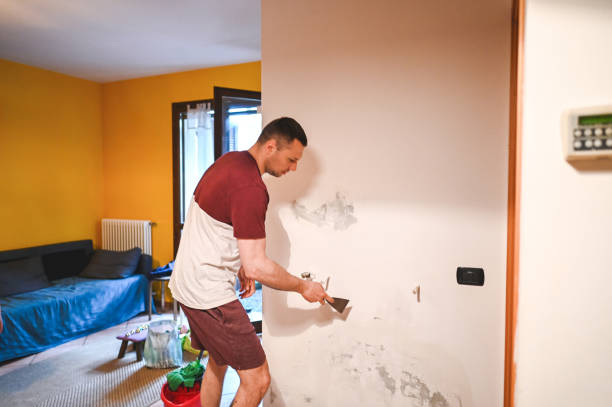 Best Attic Mold Removal  in Riverside, IL