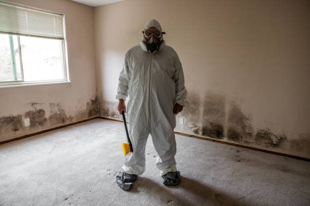 Crawl Space Mold Removal in Riverside, IL